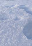 20230119_105821 (Large).jpg (260199 bytes)